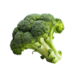 Sticker - Broccoli on transparent background