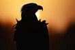The Silhouette of a Bald Eagle Against the Evening Sky. The Ethereal Figure Blending with the Background Inspires Viewers with Its Mystical Presence.