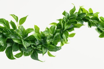 Wall Mural - A close-up view of vibrant green leaves. Ideal for nature or botanical-themed projects