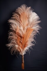Aufkleber - Close-up view of a feather on a black background. Versatile image suitable for various themes and concepts