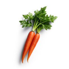 Poster - A carrot with green leaves on white background.