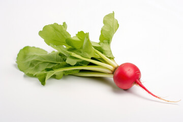 Wall Mural - A radish with green leaves on white background.