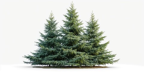Poster - A group of pine trees standing on a white surface. This image can be used for various purposes