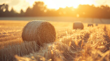 Hay Bales In Field At Sunset