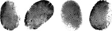 Fingerprint Transparent Background PNG Clipart