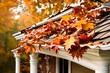 A fall tradition - cleaning the gutters of leaves. Here, we see them clogging the gutters of a traditional home. Could be used for advertising/clean up articles/etc. Narrow DOF
