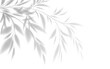 Realistic transparent shadow of a bamboo branch with leaves isolated on a transparent background. Vector illustration