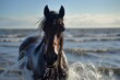 wet horse with water droplets running toward camera from waterfront
