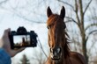 person holding camera at eye level as horse canters directly at them