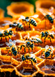 Leinwandbild Motiv bees collect honey in a flower meadow honeycomb . Selective focus.
