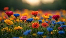 Field Of Flowers. Blue Flowers. Red Flowers. Yellow And Orange Flowers In A Meadow In Nature