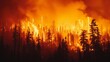 Dramatic Wildfire in a Dense Forest