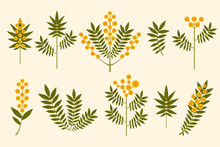 Yellow Flowers Vector Set. Modern Symmetrical Mimosa Flowers And Leaves On Pastel Background. Australian Wattle Branches Drawn In Folk Style With Brush Texture. Stylized Geometric Acacia Illustration