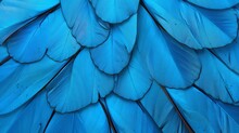 Blue Color In Nature. Wings Of A Blue Tropical Morpho Butterfly. Abstract Pattern From Morpho Wings. Butterfly Wings Texture Background.