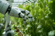 © anaumenko - Technology in agriculture- robotic hand takes after plants in the greenhouse