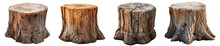 Tree Stump PNG Collection