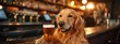 a dog in a bar with a glass of beer
