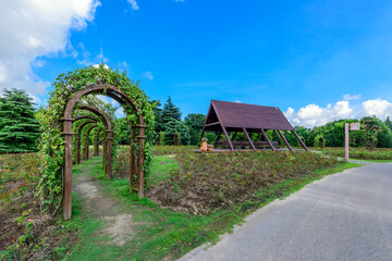 Wall Mural - road in the countryside