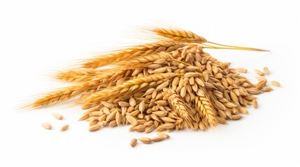 Poster - A small pile of barley grains showcased in a close-up realistic photo against a white background Generative AI