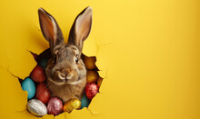 Easter Bunny Peeking Out Of A Hole With Chocolate Easter Eggs On Pastel Wall Banner, Generative AI
