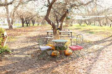 Wall Mural - Garden table and chairs with flowers chrysanthemum and pumpkins on autumn yard. Interior cozy patio. Exterior terrace with Furniture in garden for Picnic. Fall decorations on thanksgiving. Halloween. 