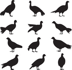Sticker - Grouse Bird Black Silhouette