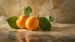 Fresh apricots with leaves on a rustic background, still life style. natural light creates soft shadows. perfect for culinary themes. AI