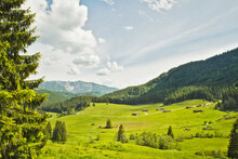 Landscape With Rolling Hills And Trees Amongst Spring Fields With Flowers. Spitzingsee, Germany