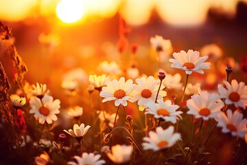 Wall Mural - field of flowers. 