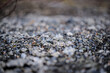 Photo of crushed stones blurred background.