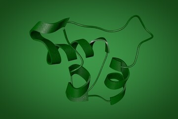 Wall Mural - NMR structure of single-chain insulin on green background. Green ribbons diagram based on protein data bank entry 2lwz. 3d illustration