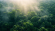 An awe-inspiring aerial view of a dense tropical rainforest with sunlight filtering through the canopy.