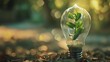 A young green plant thriving inside a clear light bulb, placed on forest ground, symbolizing eco-friendliness and renewable energy.