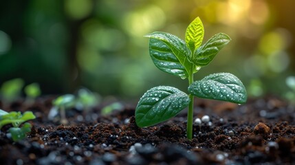 Wall Mural - Close up green seedling growing on fertile soil with blurred nature background. Generative AI