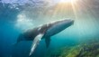 A giant whale under water, ocean, beautiful animal, blue