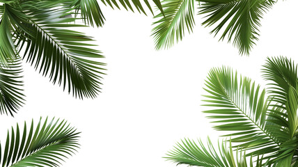 Sticker - Tropical frame with green palm leaves. Tropical plant branches isolated on a transparent background.