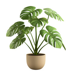 3D Monstera Plant in Pot Isolated On transparent Background