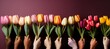 © Kristina - Sea of multi-ethnic female hands holding colorful tulips against a purple background