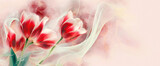 Fototapeta Tulipany - Tapeta, czerwone kwiaty, tulipany na jasnym tle, miejsce na tekst