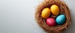 Easter eggs in nest on white background, top view, mockup for holiday and spring decoration