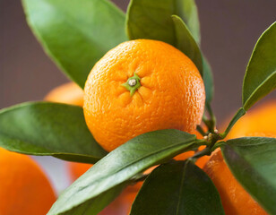 Closeup of a Fresh Orange Growing on a Tree