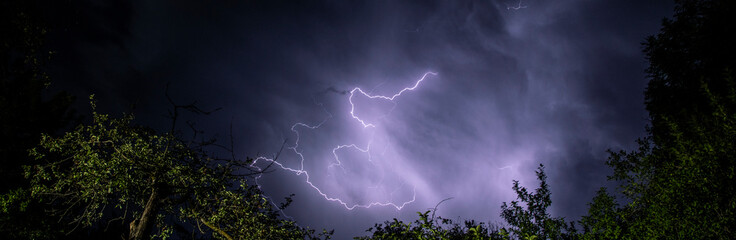 Wall Mural - a lightning bolt hitting through the sky over trees