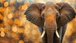 elephant in shiny golden background