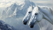 White horses looking to one side close-up against the backdrop of white mountains
