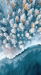 Poster -  a bird's eye view of snow covered trees and a body of water in the middle of a wooded area with snow on the ground and in the foreground.