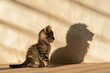 © ChaoticMind - A curious domestic cat basks in the warm sun next to the imposing shadow of a majestic lion, showcasing the duality of feline nature and the beauty of their bond