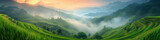 Fototapeta Natura - rice field curve terraces at sunrise time, the natural background of nature Asia, rice paddy field in the mountain with fog at sunrise