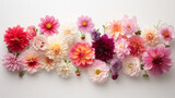 Fototapeta Storczyk - pink, white, blue and clear yellow flowers on a white background