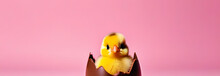 Chick Hatched Out Of Chocolate Easter Egg On Light Pink Background. Minimal Holiday Concep