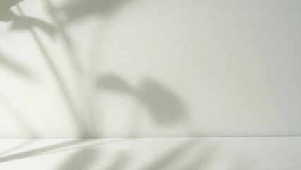 Poster - white background with leaf shadow overlay